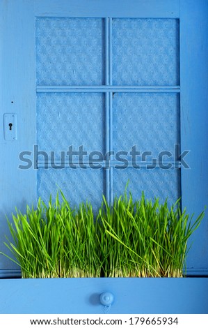 Blue cabinet with grass