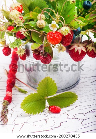 The bouquet of wild strawberry