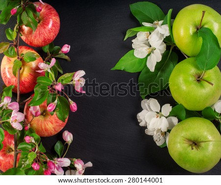 Apples and Pink spring apple tree fresh flowers frame composition isolated