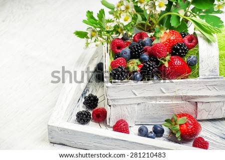 Berry Mix in basket