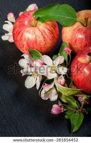 composition from apples and apple-tree blossoms on black
