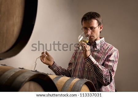 Wine producer smelling white wine in glass while wine tasting it in wine cellar.