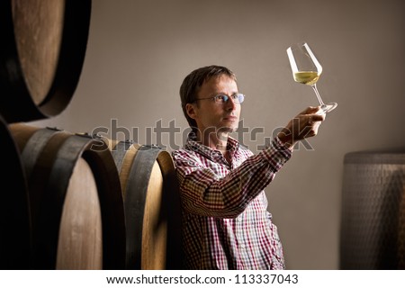 Wine producer inspecting quality of white wine during wine tasting in cellar in front of barrels.