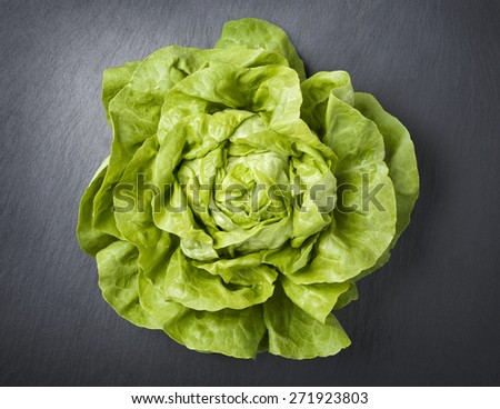 One fresh head of lettuce, isolated on a dark gray slate stone background.