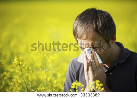 Young man in yellow canola field blowing his nose and suffering from hay fever.