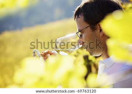 Serious male winemaker holding a glass to taste wine in vineyard with blurred vine leaves in foreground.