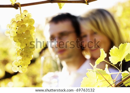Close-up of bunch of green grapes hanging from vine in vineyard with blurred smiling happy woman and man (couple) in background holding a glass for wine tasting.