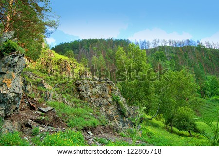 Mountain landscape in good weather