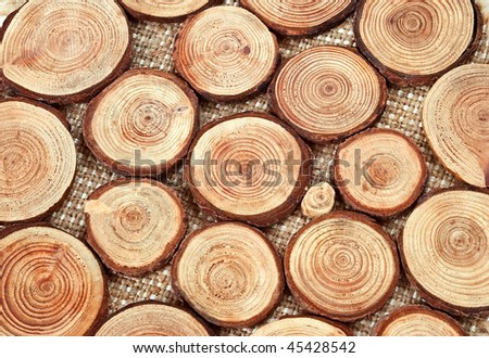 Annual wood circles - pieces of wood with annual rings