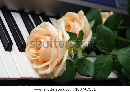 Roses on a piano keyboard