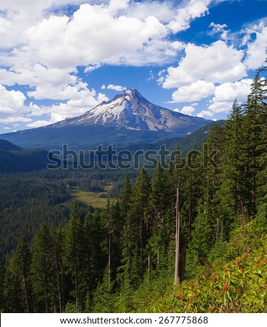 Majestic View of Mt. Hood on a bright, sunny day during the summer months