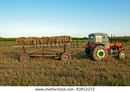 Folding sheaves of hay up to the old cart attached to the old tractor