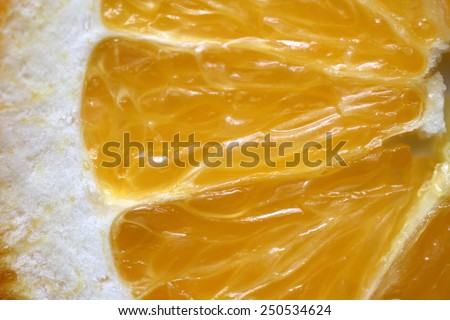 Extreme closeup of orange showing fruit flesh, pith and skin on white background