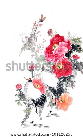 chinese peony flower