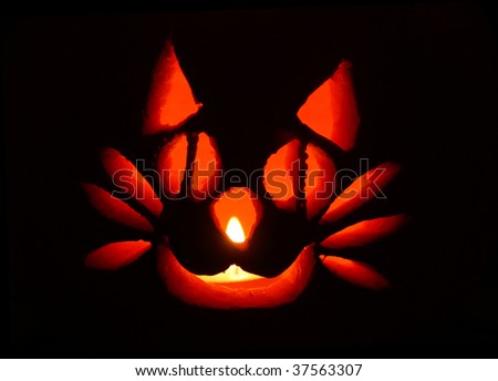 Cat-shaped pumpkin carving for Halloween