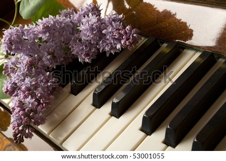 Dark brown grand piano, which bears purple lilac