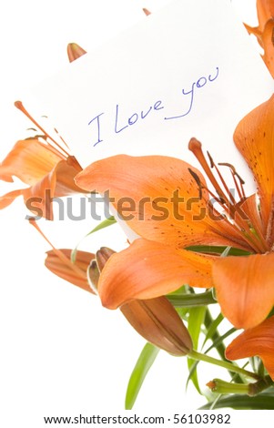 Orange tiger lily isolated on white background. In the color card I love you