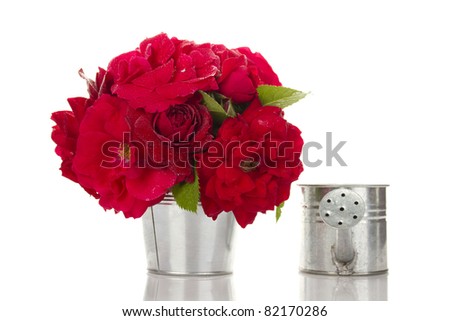 Red Roses Bucket
