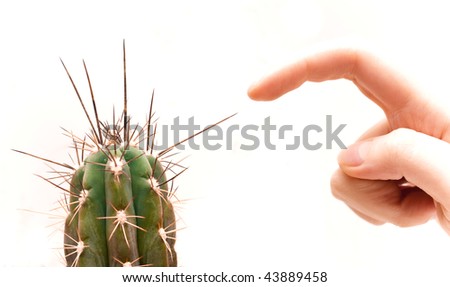 Cactus Middle Finger