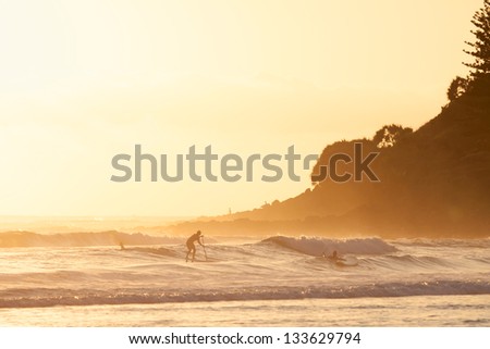 Stand up paddle surfing in the morning  in Burleigh Heads (Gold Coast, QLD, Australia)