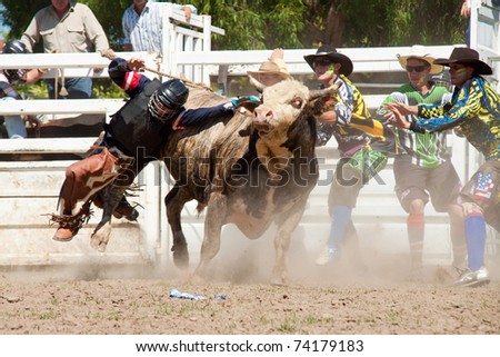 GOLD COAST, AUSTRALIA - JANUARY 26: Unidentified cowboy falls from dangerous bull on January 26, 2011 in Gold Coast, Queensland, Australia. The rodeo show was part of Australia Day celebration.