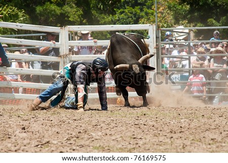 GOLD COAST, AUSTRALIA - JANUARY 26: Unidentified cowboy run away from dangerous bull on January 26,2011 in Gold Coast, Queensland, Australia. The rodeo show was part of Australia Day celebration