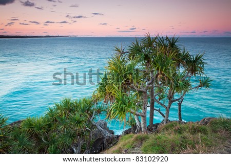australian seascape at twilight with native trees (cabarita,nsw,australia)