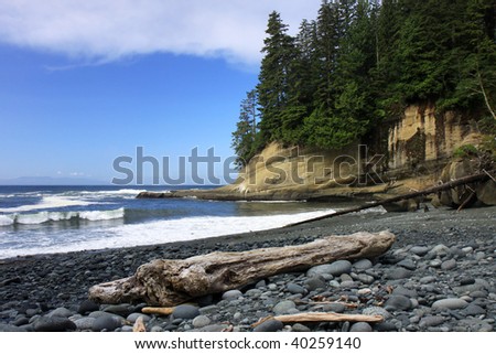 Rocky beach and driftwood on the West Coast Trail located on Vancouver island in British Columbia