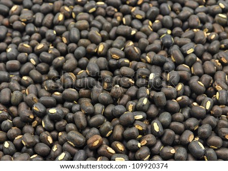close up whole seeds of  black gram seeds