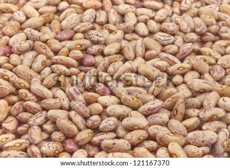 close up pile of seeds of kidney beans
