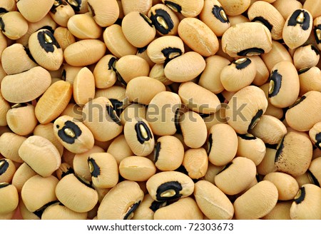 top view of black-eyed pea seeds