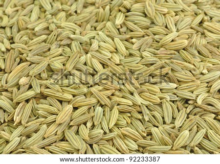 close up of pile of fennel seeds