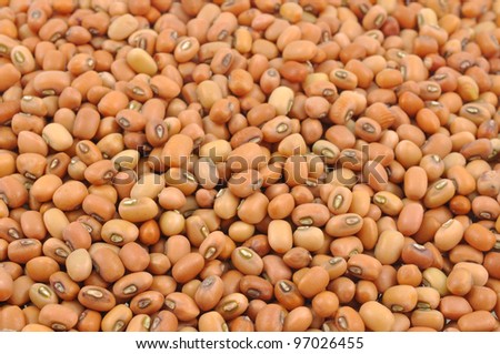close up of pile of seeds of black eyed pea, cowpea