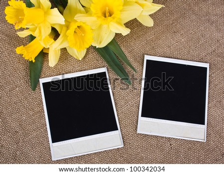photo frame with yellow daffodils