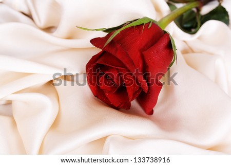 Red rose and white silk, and the concept of the wedding feast