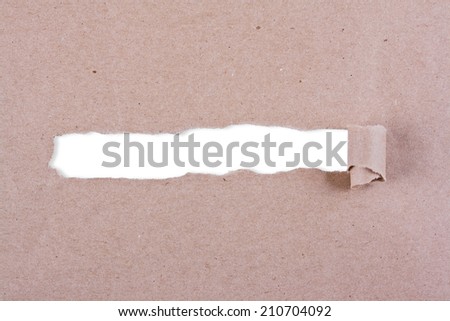 Brown package paper torn to reveal white panel ideal for copy space.