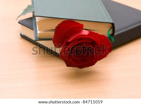 Red rose in a closed book