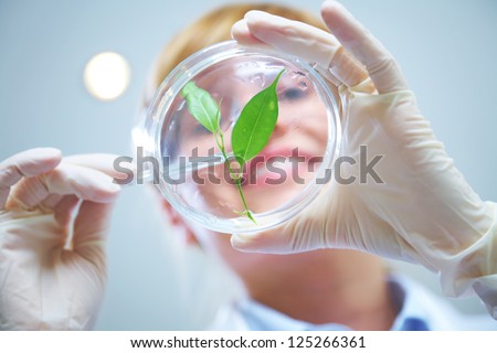 Woman scientist holding a test tube with plant Woman scientist holding a test tube with plant
