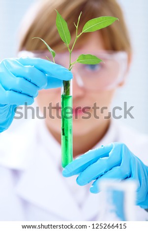 Woman scientist holding a test tube with plant Woman scientist holding a test tube with plant