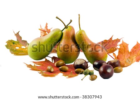 three pears in the leaves of chestnut with acorns