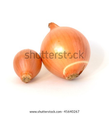 Big and small onions with peel isolated on white background