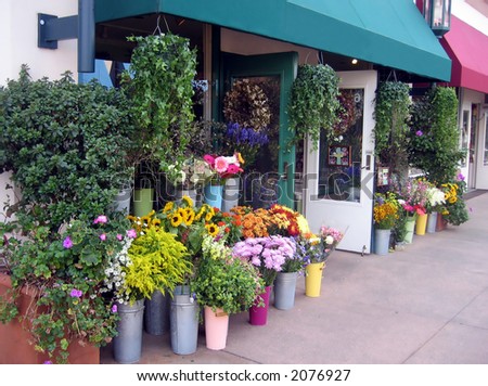 Flower Shop on Flower Shop Stock Photo 2076927   Shutterstock