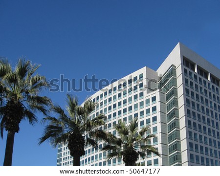 Downtown Office Building with Palm Trees