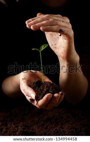 Hands with plant