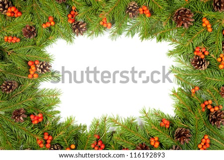 Christmas green  framework with cones and holly berry  isolated on white background