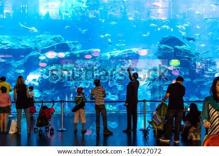 Dubai, Uae - November 14: Aquarium In Dubai Mall - World\'S Largest Shopping Mall , Downtown Burj Dubai November 14, 2012 In Dubai, United Arab Emirates
