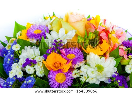 Beautiful Wild flowers background  on a white background