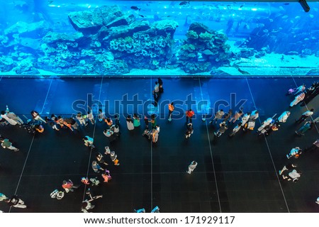 DUBAI, UAE - NOVEMBER 14: Aquarium in Dubai Mall - world\'s largest shopping mall , Downtown Burj Dubai November 14, 2012 in Dubai, United Arab Emirates