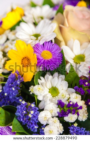 Beautiful Wild flowers background  on a white background
