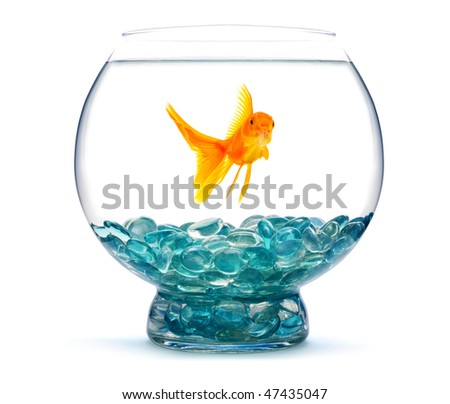 3d Backgrounds For Fish Tanks. 3d fish tank backgrounds. cartoon fish tank background.